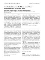 Tài liệu Báo cáo khoa học: A role for the intersubunit disulﬁdes of seminal RNase in the mechanism of its antitumor action docx