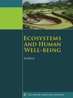 Tài liệu Ecosystems and Human Well-being docx