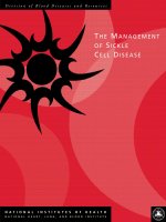 Tài liệu THE MANAGEMENT OF SICKLE CELL DISEASE ppt