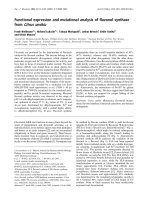 Tài liệu Báo cáo khoa học: Functional expression and mutational analysis of ﬂavonol synthase from Citrus unshiu pptx