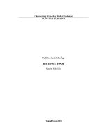 Tài liệu Nghiên cứu tình huống: PETROVIETNAM pdf