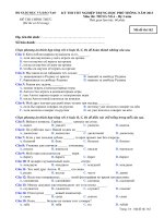 Tài liệu Đề thi - Đáp án môn Tiếng Nga - Tốt nghiệp THPT Hệ 3 năm ( 2013 ) Mã đề 162 pot