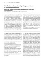 Tài liệu Báo cáo khoa học: Identi®cation and properties of type I-signal peptidases of Bacillus amyloliquefaciens doc