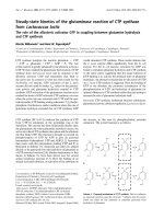 Tài liệu Báo cáo Y học: Steady-state kinetics of the glutaminase reaction of CTP synthase from Lactococcus lactis The role of the allosteric activator GTP in coupling between glutamine hydrolysis and CTP synthesis potx