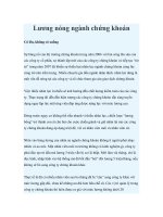 Tài liệu Lương nóng ngành chứng khoán ppt