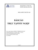 Báo cáo thực tập tốt nghiệp Công ty TNHH Hà Hải Nam