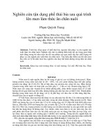 Nghiên cứu tận dụng phế thải bia sau quá trình lên men làm thức ăn chăn nuôi