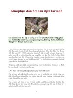 Tài liệu Khôi phục đàn heo sau dịch tai xanh doc