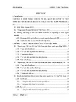 Đầu tư trực tiếp nước ngoài của EU vào Việt Nam thực trạng và giải pháp