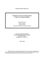 Tài liệu Estimating a Social Accounting Matrix Using Cross Entropy Methods docx