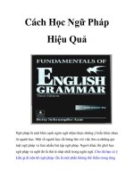 Tài liệu Cách Học Ngữ Pháp Hiệu Quả docx