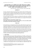 Tài liệu ẢNH HƯỞNG CỦA THỜI GIAN THU HOẠCH VÀ ĐIỀU KIỆN XỬ LÝ ĐẾN KHẢ NĂNG PHÂN LẬP NẤM MEN TỪ NƯỚC THỐT NỐT (BORASSUS) TƯƠI pptx