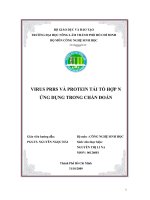 Tài liệu TIỂU LUẬN: VIRUS PRRS VÀ PROTEIN TÁI TỔ HỢP N ỨNG DỤNG TRONG CHẨN ĐOÁN pptx
