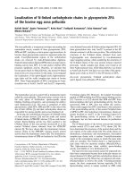 Tài liệu Báo cáo khoa học: Localization of N-linked carbohydrate chains in glycoprotein ZPA of the bovine egg zona pellucida pptx