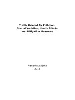 Tài liệu Traffic Related Air Pollution: Spatial Variation, Health Effects and Mitigation Measures pdf