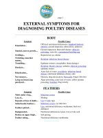 Tài liệu EXTERNAL SYMPTOMS FOR DIAGNOSING POULTRY DISEASES ppt