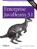 Tài liệu Enterprise JavaBeans 3.1 ppt