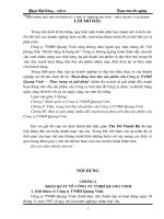 hoạt động tiêu thụ sản phẩm của công ty tnhh quang vinh – thực trạng và giải pháp