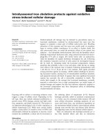 Tài liệu Báo cáo khoa học: Intralysosomal iron chelation protects against oxidative stress-induced cellular damage doc