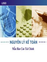 Mẫu báo cáo tài chính