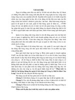 phân tích và thiết kế hệ thống thông tin quản lý tiền lương tại công ty thiết bị điện cửu long