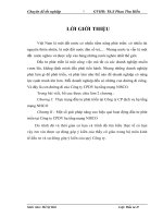 một số giải pháp nâng cao hiệu quả hoạt động đầu tư phát triển tại công ty cpdv hạ tầng mạng nisco