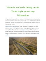 Tài liệu Vành đai xanh trên đường cao tốc Tarim xuyên qua sa mạc Taklamakan pot