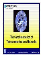 Tài liệu The Synchronisation of Telecommunications Network doc