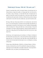 Tài liệu Trình duyệt Chrome: Mới chỉ 