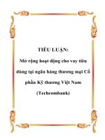 Mở rộng hoạt động cho vay tiêu dùng tại ngân hàng thương mại Cổ phần Kỹ thương Việt Nam (Techcombank)