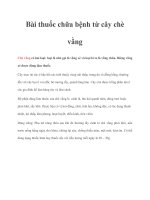 Tài liệu Bài thuốc chữa bệnh từ cây chè vằng pptx
