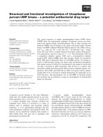 Tài liệu Báo cáo khoa học: Structural and functional investigations of Ureaplasma parvum UMP kinase – a potential antibacterial drug target ppt