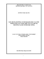XÂY DỰNG ĐƯỜNG CƠ SỞ (BASELINE) VÀ ƯỚC TÍNH NĂNG LỰC HẤP THỤ CO2 CỦA RỪNG THƯỜNG XANH TỈNH ĐĂK NÔNG
