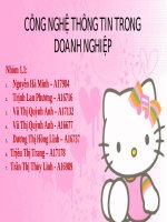Tài liệu CÔNG NGHỆ THÔNG TIN TRONG DOANH NGHIỆP doc