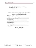 Tài liệu Báo cáo thực tập tại công ty cổ phần hóa dầu và xơ sợi dầu khí PVTEX doc