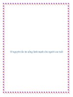 Tài liệu 10 nguyên tắc ăn uống lành mạnh cho người cao tuổi. pot