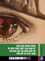 Tài liệu Báo cáo hoàn thiện về ước tính thiệt hại kinh tế do bạo lực gia đình đối với phụ nữ tại Việt Nam ppt