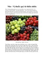 Tài liệu Nho - Vị thuốc quý từ thiên nhiên pot