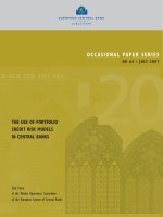 Tài liệu OCCASIONAL PAPER SERIES NO 64 / JULY 2007: THE USE OF PORTFOLIO CREDIT RISK MODELS IN CENTRAL BANKS doc