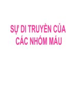 Tài liệu SỰ DI TRUYỀN CỦA CÁC NHÓM MÁU potx