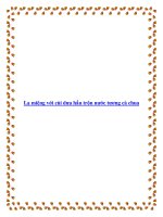 Tài liệu Lạ miệng với cùi dưa hấu trộn nước tương cà chua pdf