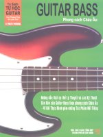 tự học đàn guitar phong cách châu âu