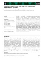 Tài liệu Báo cáo khoa học: An allosteric DNAzyme with dual RNA-cleaving and DNA-cleaving activities doc