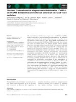 Tài liệu Báo cáo khoa học: The two Caenorhabditis elegans metallothioneins (CeMT-1 and CeMT-2) discriminate between essential zinc and toxic cadmium docx