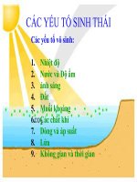 Tài liệu Các yếu tố sinh thái doc