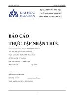 báo cáo thực tập nhận thức công ty tnhh kcs việt nam