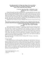 Tài liệu BÁO CÁO 