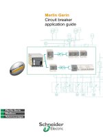 Merlin gerin circuit breaker application guide 