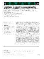 Tài liệu Báo cáo khoa học: Proteolysis of Pseudomonas exotoxin A within hepatic endosomes by cathepsins B and D produces fragments displaying in vitro ADP-ribosylating and apoptotic effects doc