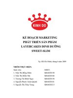 Tài liệu Tiểu luận:KẾ HOẠCH MARKETING PHÁT TRIỂN SẢN PHẨM LAYERCAKES DINH DƯỠNG SWEET-SLIM pot